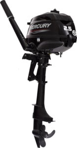 MOTORE MERCURY F 2.5