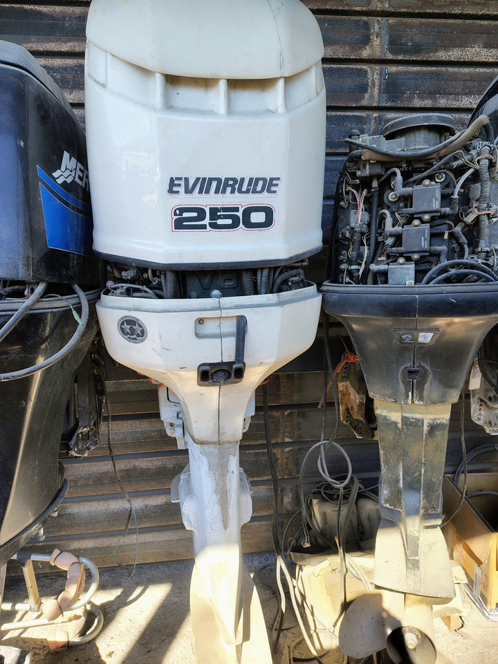 Evinrude a pezzo di ricambio