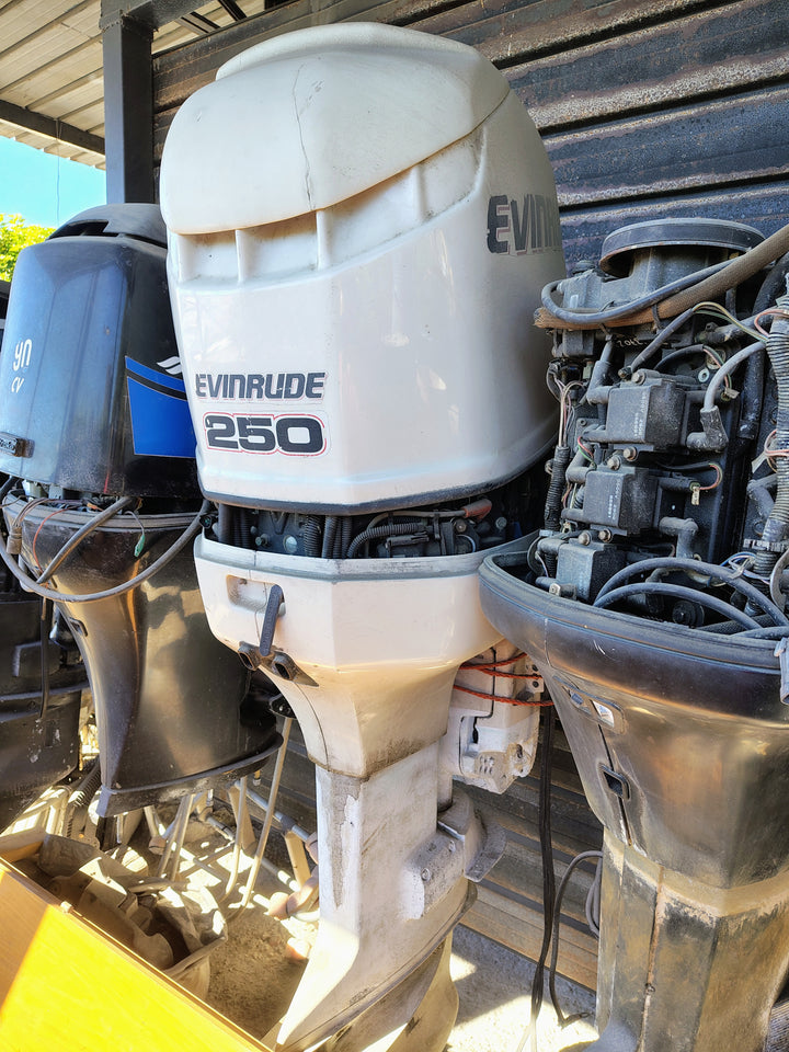 Evinrude a pezzo di ricambio